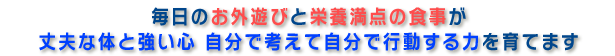 毎日のお外遊びと栄養満点の食事が丈夫な体と強い心　自分で考えて自分で行動する力を育てます